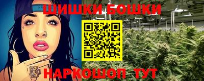 индика Пыть-Ях
